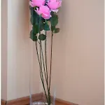 Apartamento Biocic Split