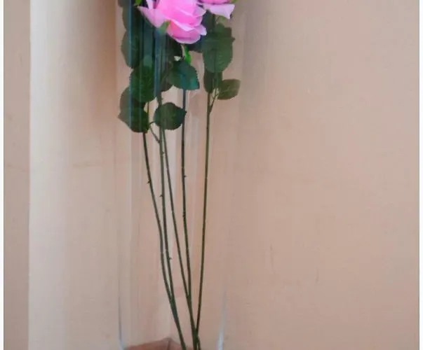 Apartman Biocic Split