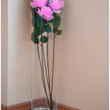 Appartement Biocic Split